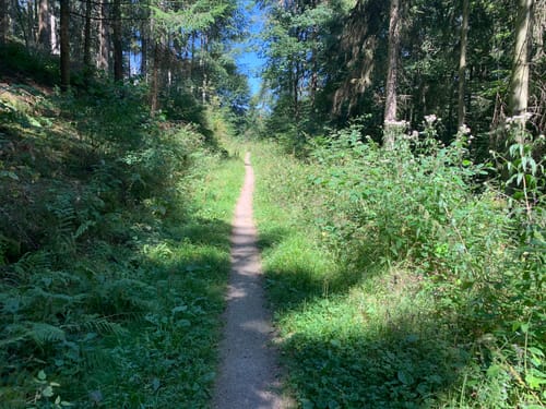Königstuhl Rundweg