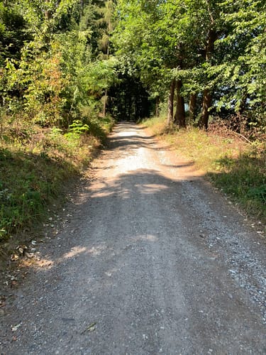 Königstuhl Rundweg