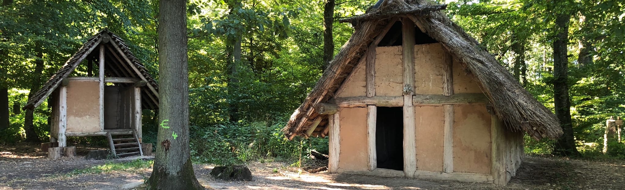 Druidenpfad bei Niedaltdorf, 47 Fotos - Saarland, Germany | AllTrails
