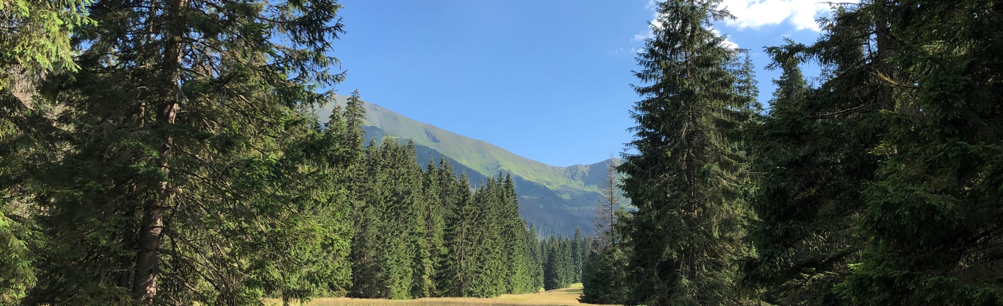 Kościeliska Valley Chochołowska Valley, Lesser Poland, Poland 25