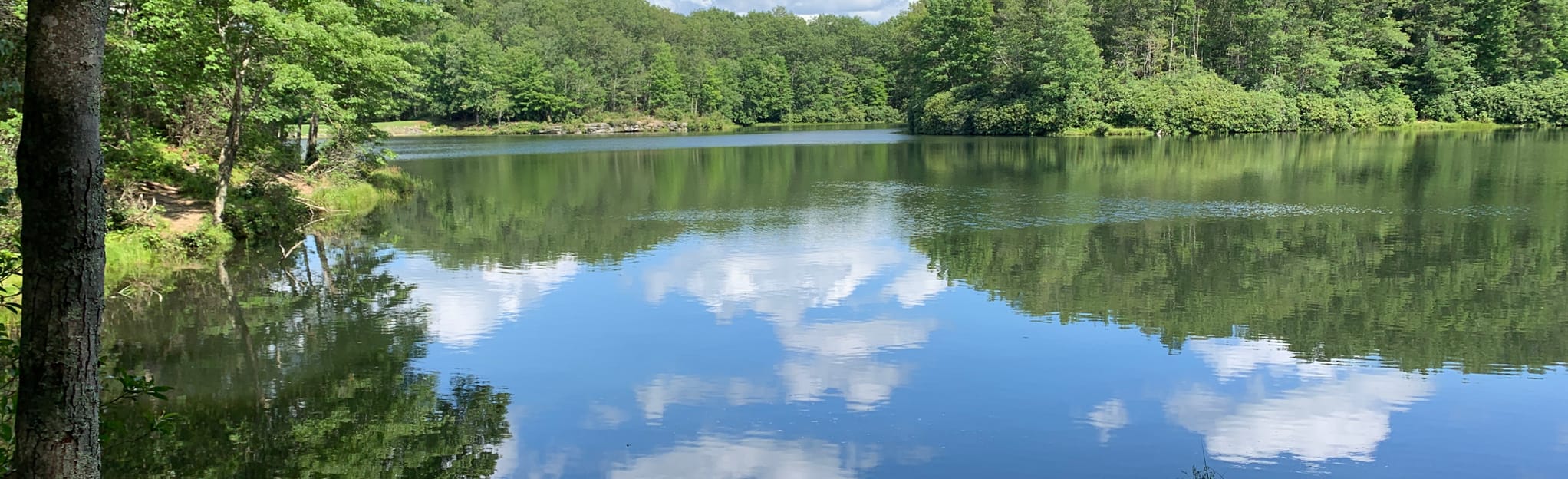 Boley Lake View Trail 140 Reviews, Map West Virginia AllTrails