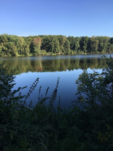 Um Nettebruch und Breyeller See