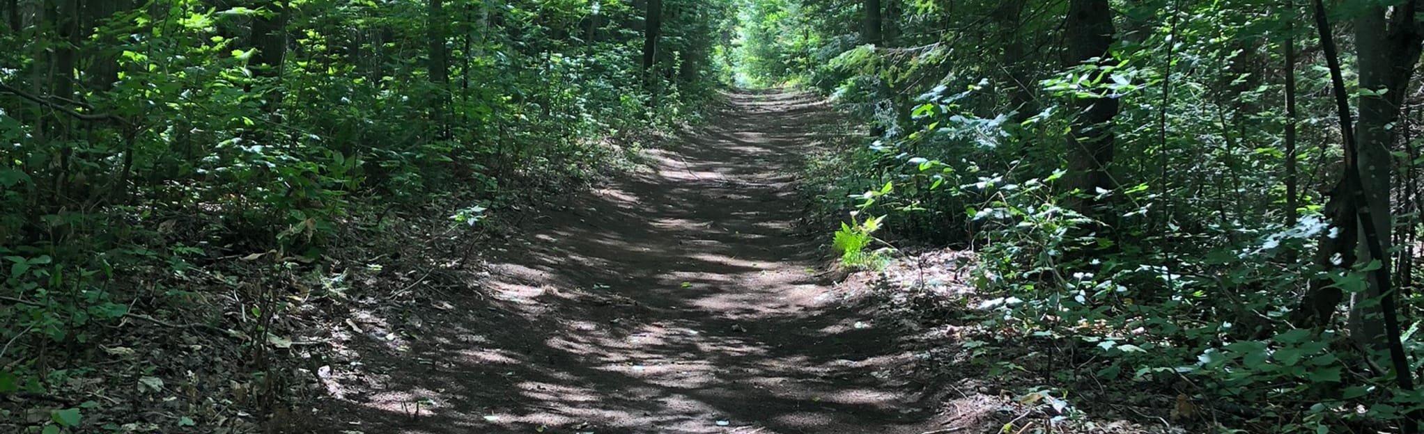 Grande boucle de SaintBoniface 5 Reviews, Map Quebec, Canada AllTrails