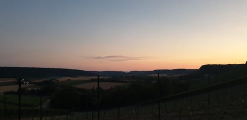 Neuenstadter Wald