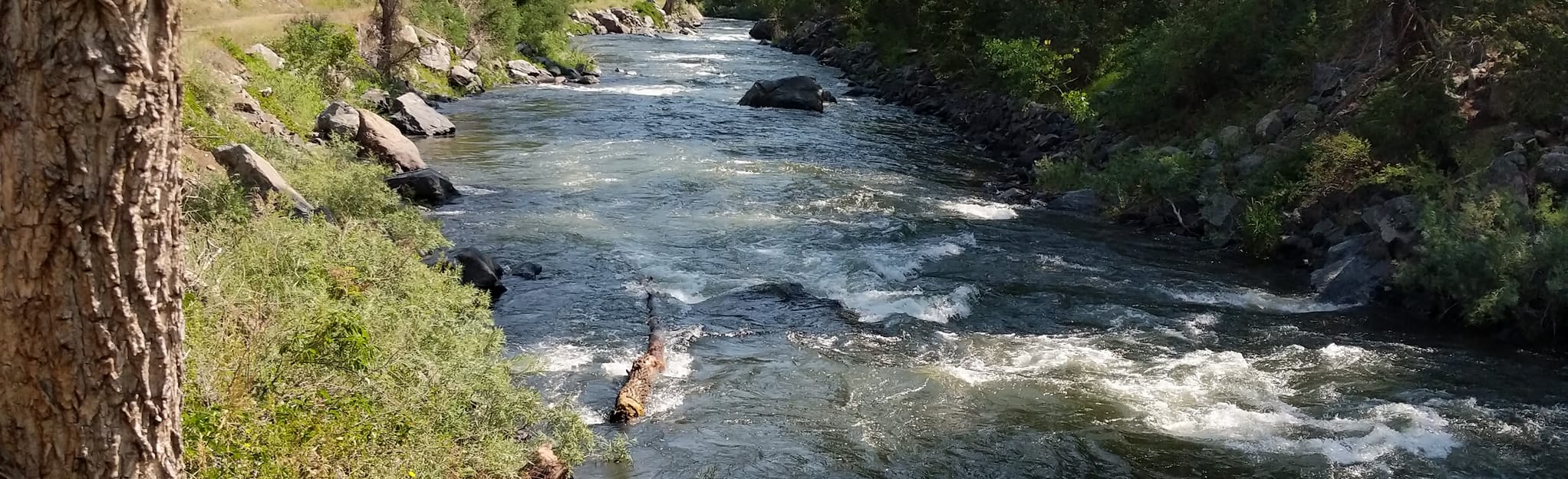 South Platte River Trail to Strontia - EyJidWNrZXQiOiJhc3NldHMuYWxsdHJhaWxzLmNvbSIsImtleSI6InVwbG9hZHMvcGhvdG8vaW1hZ2UvMjgyNjA4OTAvMmRkNDAwN2I0OWQwMjA2ZTk4MDAzMGQxYzk2Yzk5YTUuanBnIiwiZWRpdHMiOnsidG9Gb3JtYXQiOiJqcGVnIiwicmVzaXplIjp7IndpZHRoIjoyMDQ0LCJoZWlnaHQiOjYyNCwiZml0IjoiY292ZXIifSwicm90YXRlIjpudWxsLCJqcGVnIjp7InRyZWxsaXNRdWFudGlzYXRpb24iOnRydWUsIm92ZXJzaG9vdERlcmluZ2luZyI6dHJ1ZSwib3B0aW1pc2VTY2FucyI6dHJ1ZSwicXVhbnRpc2F0aW9uVGFibGUiOjN9fX0=