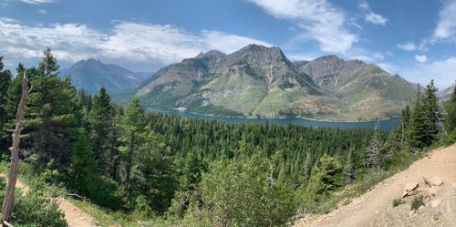 are dogs allowed in waterton national park