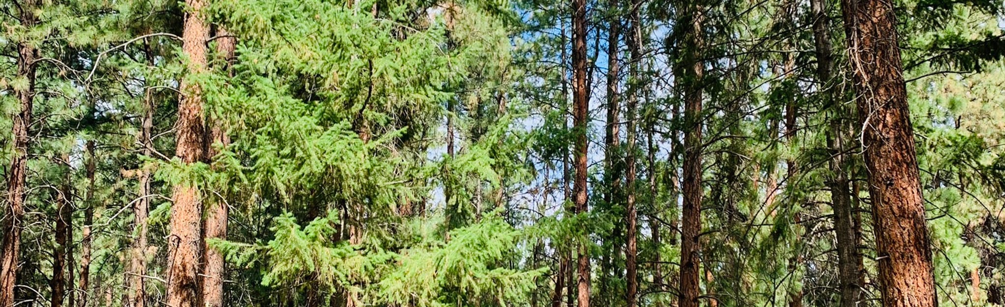 columbia mission creek women's boots