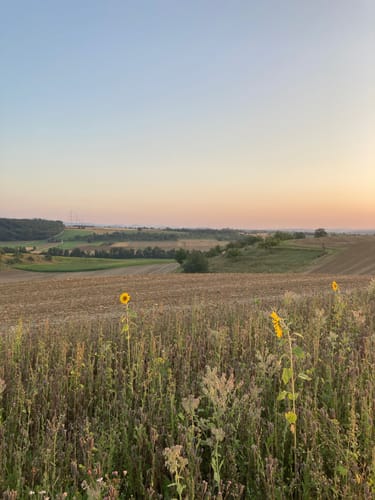 Rund um Wendlingen