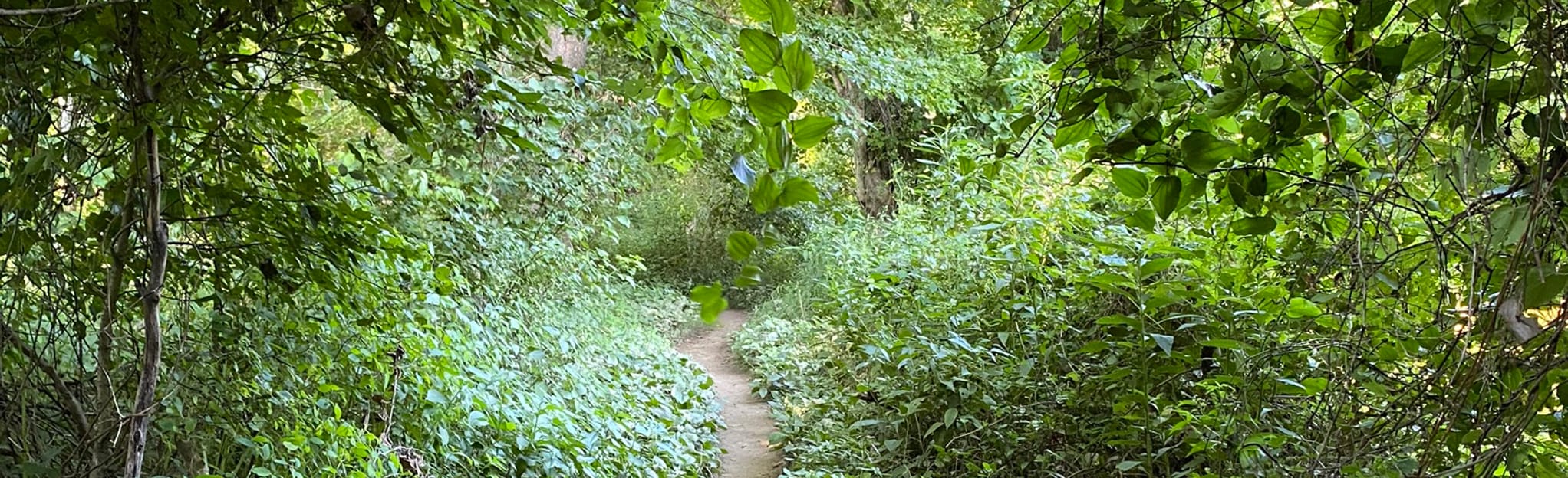 AllTrails Quail Ridge Trail 267 Reviews, Map Missouri