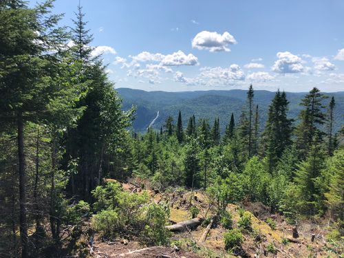 Photos of Vallée Bras-du-Nord, Quebec, Canada forest trails