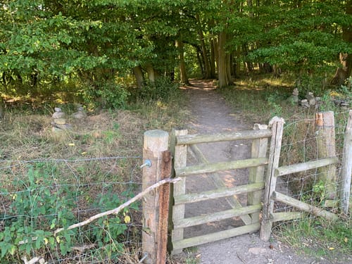 Naturlehrpfad Durchbruchstal der Warnow und der Mildenitz