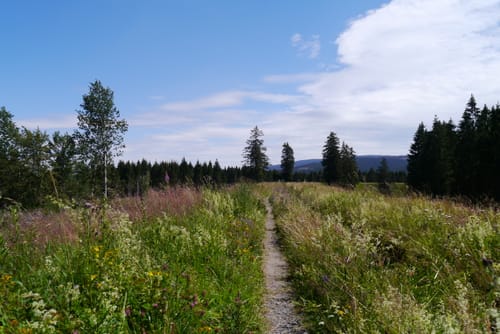 Von Osterode nach Thale