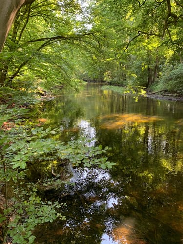 Naturlehrpfad Durchbruchstal der Warnow und der Mildenitz