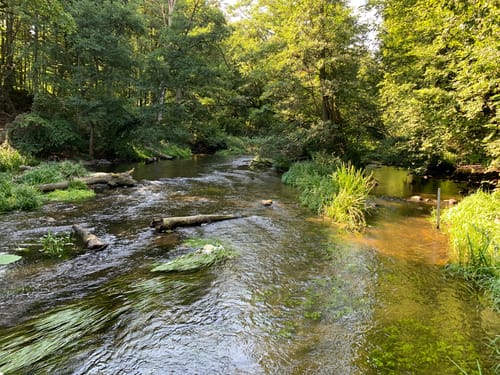 Naturlehrpfad Durchbruchstal der Warnow und der Mildenitz