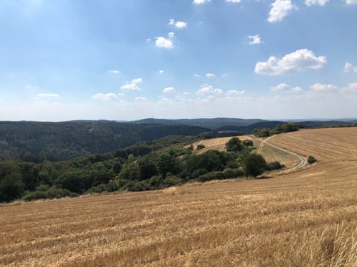 Schwälbchen's Flug (Premiumwanderweg)