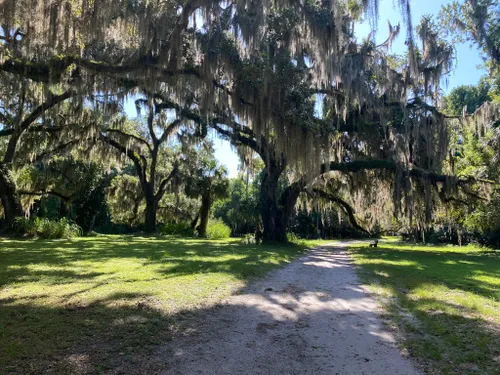 Best Hikes and Trails in Carney Island Recreation & Conservation Area ...