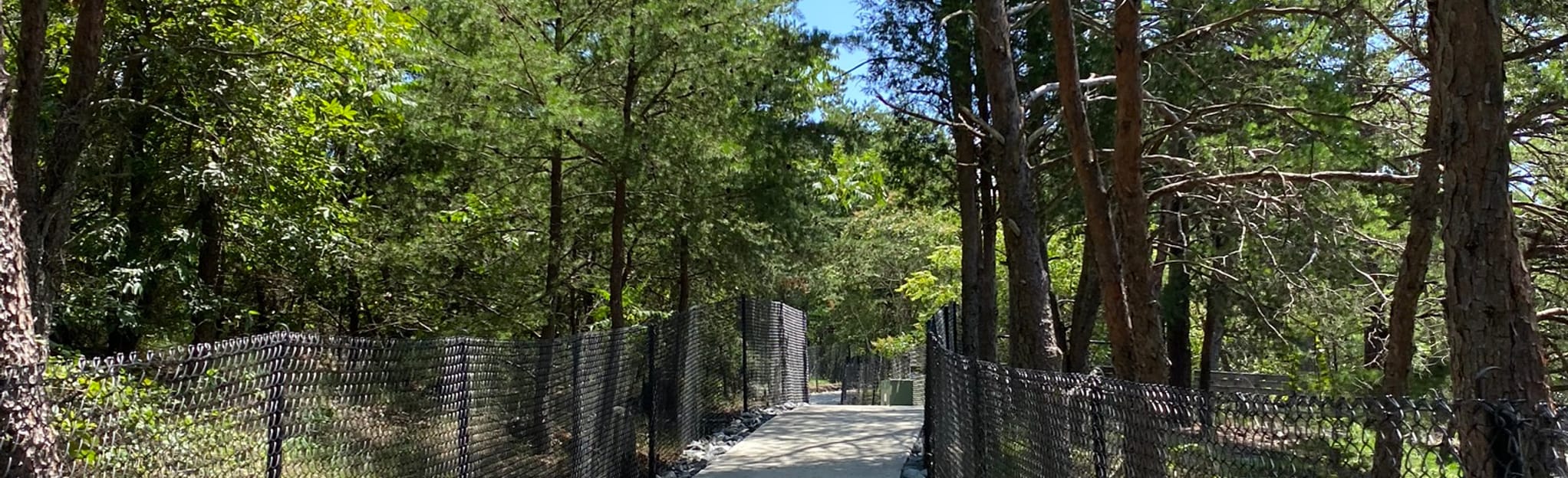 AllTrails Dunn Mountain 42 Reviews, Map North Carolina