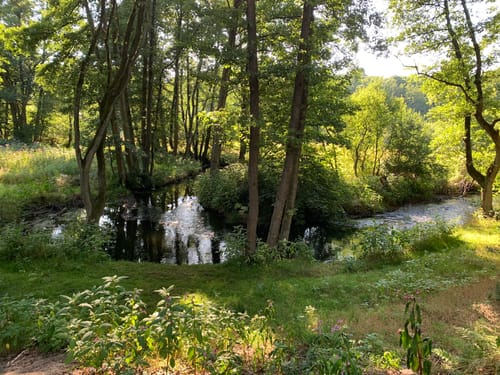 Durchs Estetal zwischen Hollenstedt und Kakenstorf