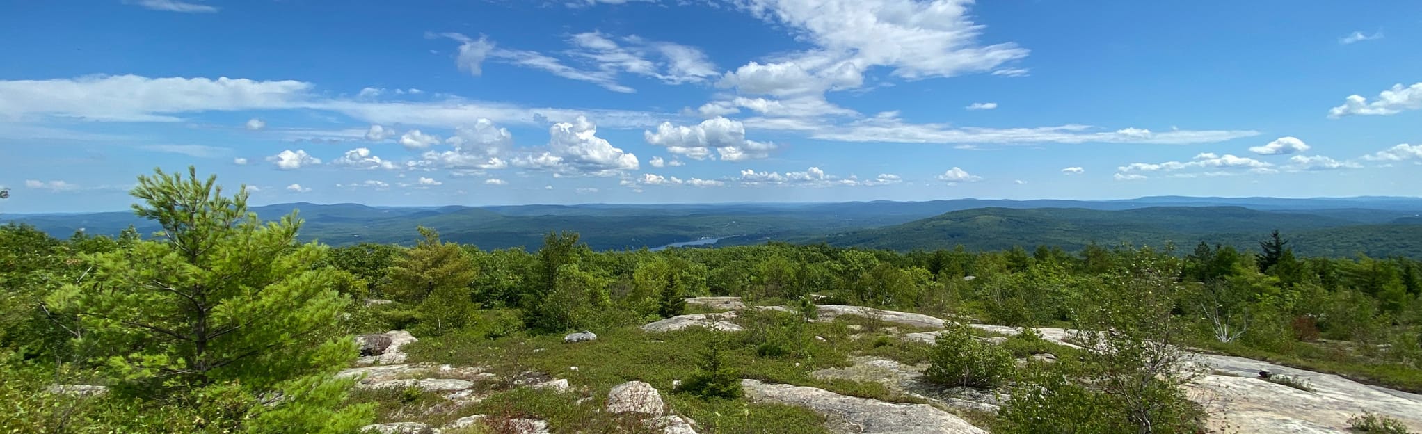 Straightback Mountain and Mount Anna via Main and Anna-Goat Trail: 570 ...