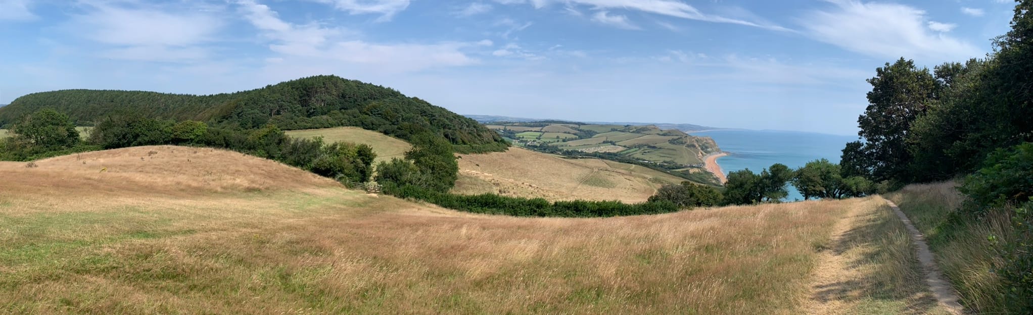 Langdon Hill and Golden Cap, Dorset, England 137 Reviews, Map AllTrails