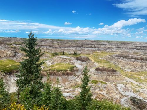 Best Hikes and Trails in Horseshoe Canyon | AllTrails