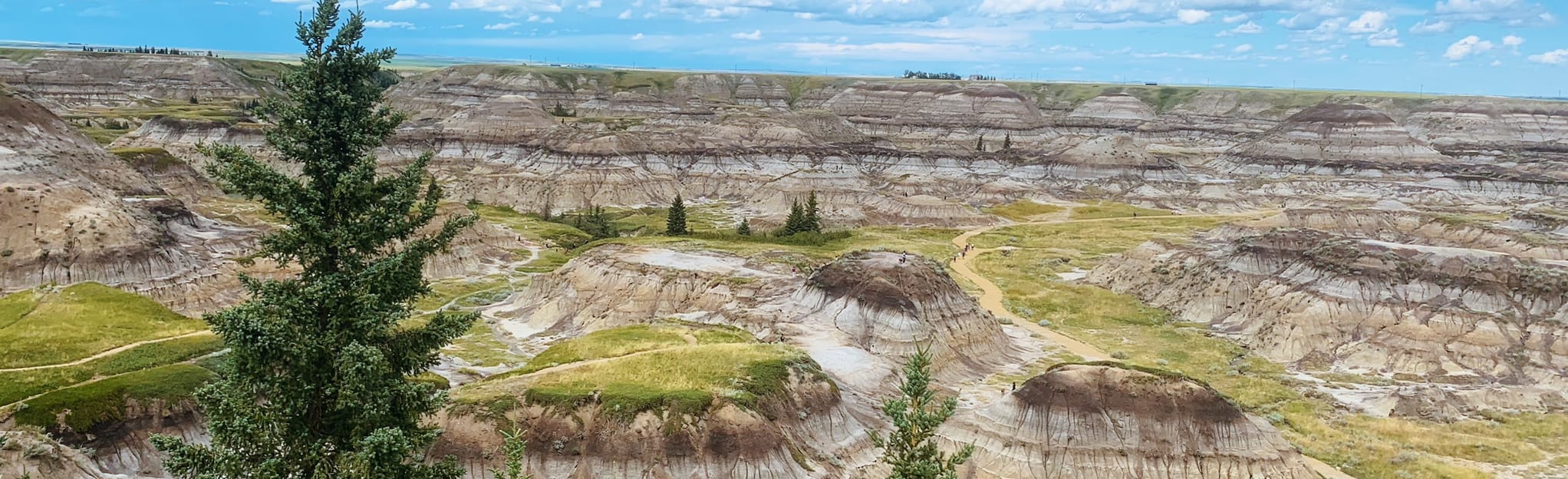 Horseshoe Canyon Trail 795 Reviews, Map Alberta, Canada AllTrails