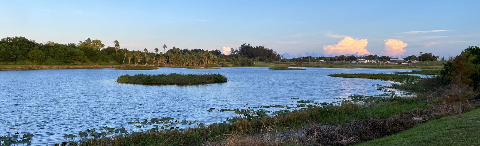 Indian Hills Recreation Area Path, Florida - 14 Reviews, Map | AllTrails