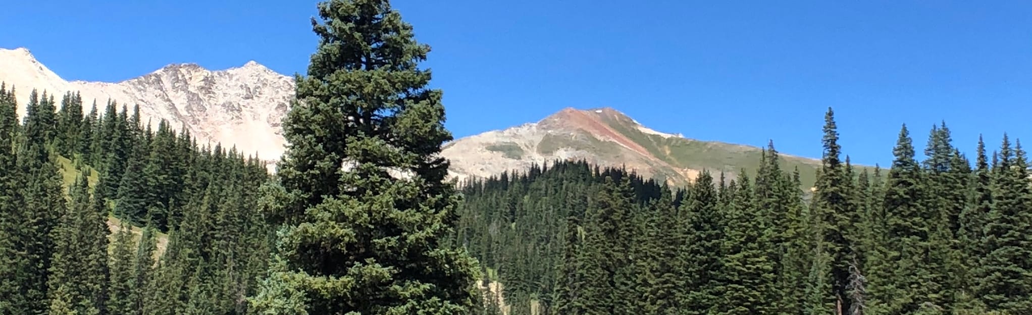 Italian Star, Doctor Park Loop Map, Guide Colorado AllTrails