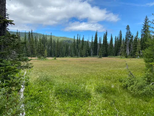 10 Best Hikes and Trails in Mount Hood Wilderness AllTrails