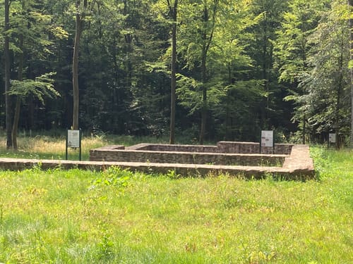 MTB-Runde: Rupertshütten - Lohrer Höhe