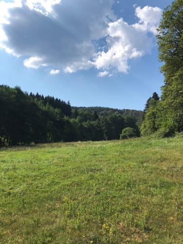 Aus Mauloff um den Bremer Berg