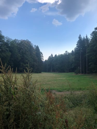Aus Mauloff um den Bremer Berg