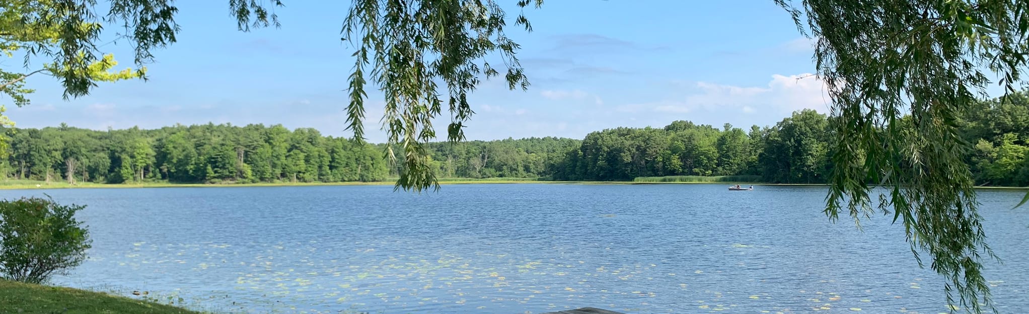 Buhl Lake Loop, Michigan 255 Reviews, Map AllTrails