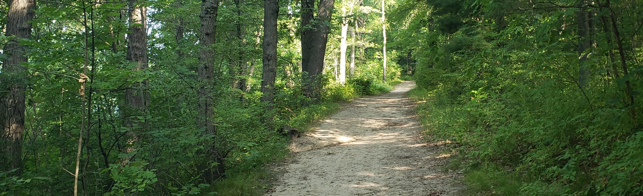 Reed Lake Trail, Michigan 77 Reviews, Map AllTrails