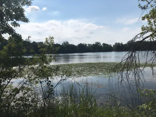 Best Hikes and Trails in Independence Oaks County Park | AllTrails