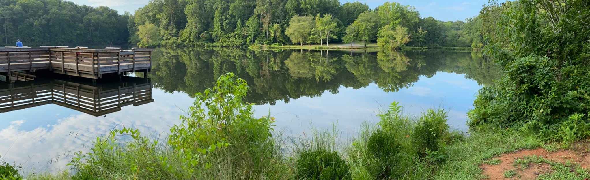 Lake Haigler Trail 551 Reviews, Map South Carolina AllTrails