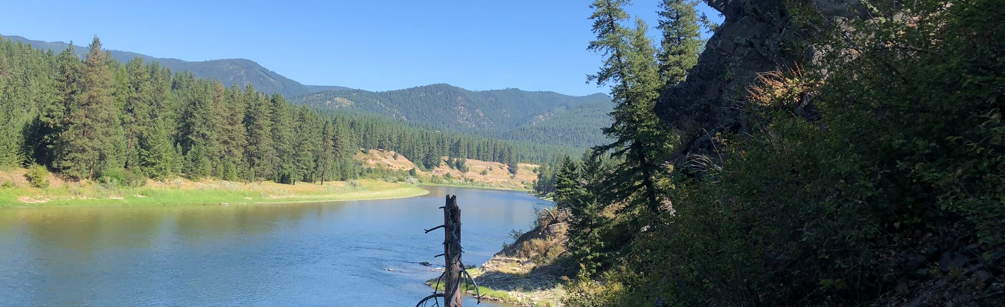 Saint Regis River Trail, Montana 53 Reviews, Map AllTrails