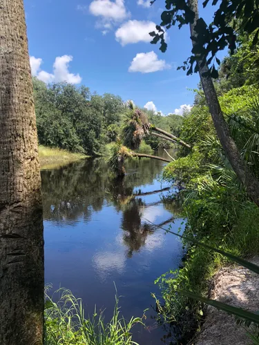 Little big econ state forest clearance camping