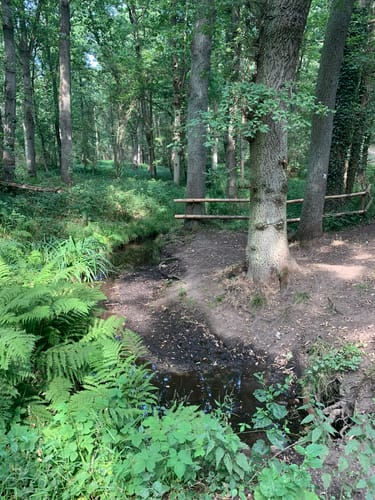 Nettetal und Krickenbecker Seen