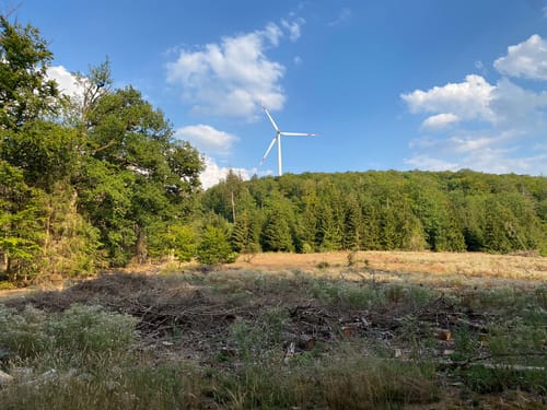 Lahnwanderweg Etappe 3: Bad Laasphe - Biedenkopf
