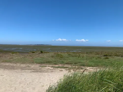 Best Beach Trails in Willapa National Wildlife Refuge | AllTrails