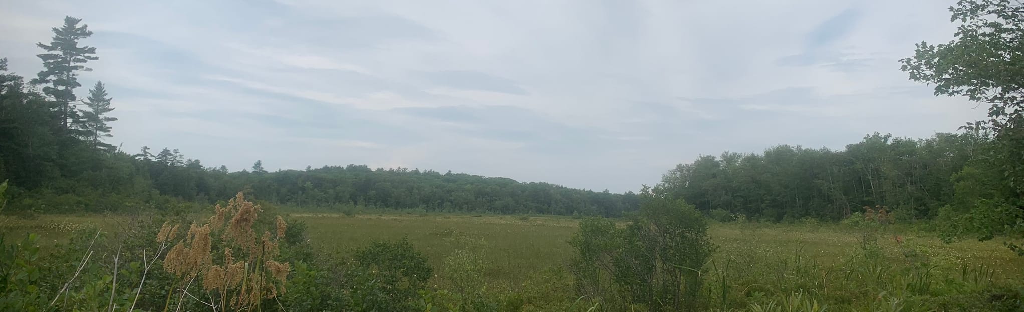 Pleasant Lake Shoreline Trail, Maine 56 Reviews, Map AllTrails