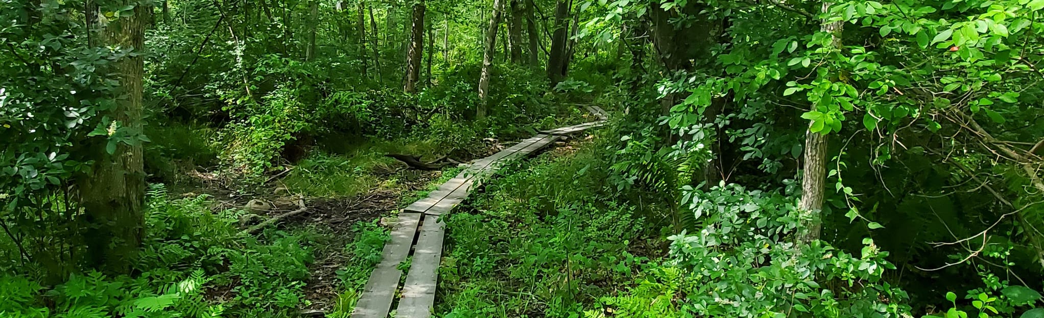 Handy House Heritage Trail 43 Reviews, Map Massachusetts AllTrails