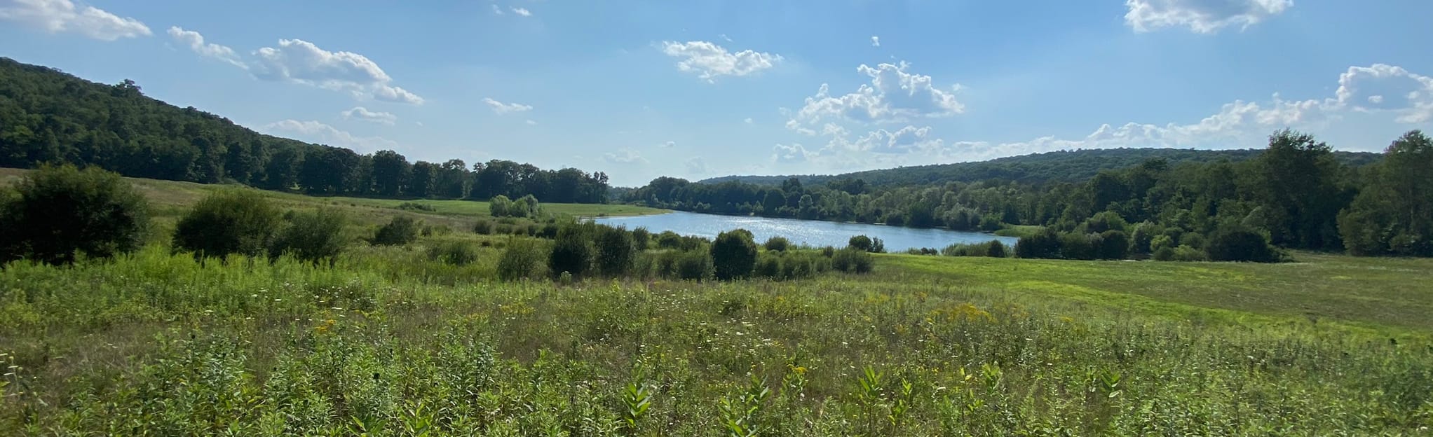 Red Wing Lakes Loop 150 Reviews, Map New York AllTrails