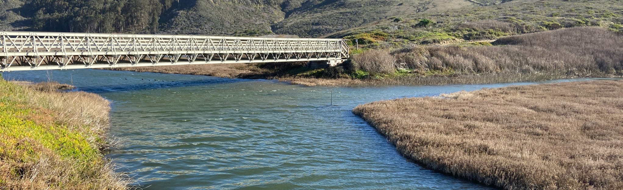 Pescadero North Pond and Beach Trail: 120 Reviews, Map - California ...