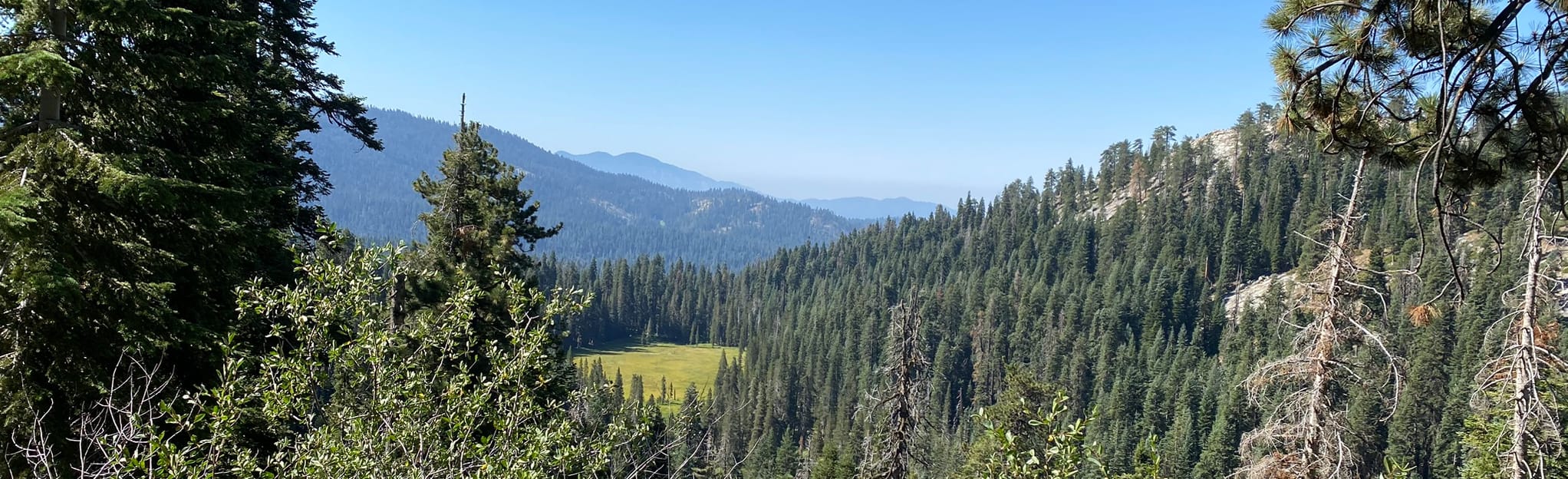 Lodgepole Campground via Wuksachi Trail [CLOSED] 11 Reviews, Map