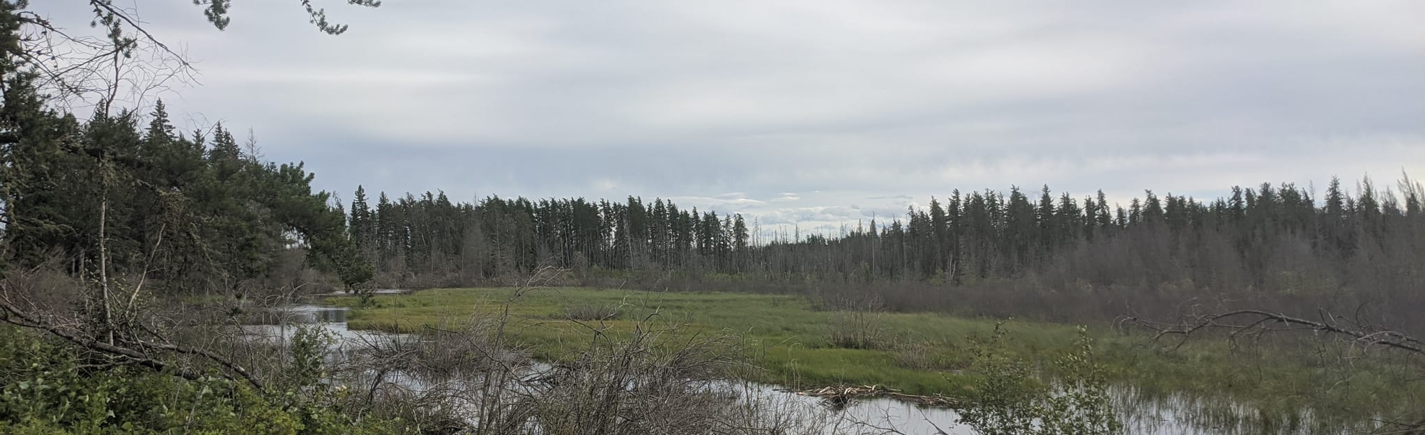 New Branch Hiking Trail, Saskatchewan, Canada 27 Reviews, Map AllTrails