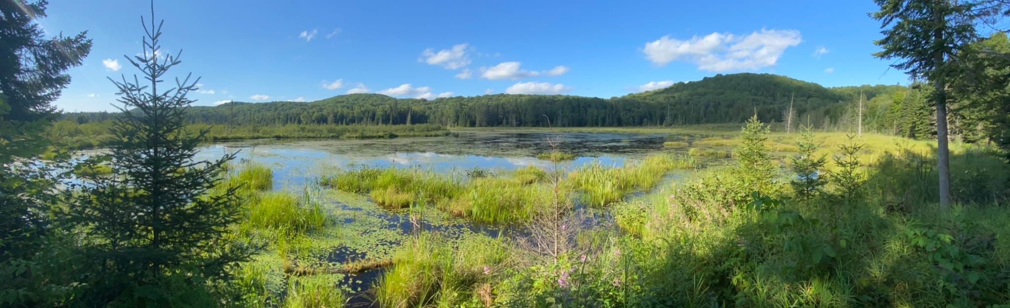 Beaver Meadow Trail Ontario, Canada AllTrails