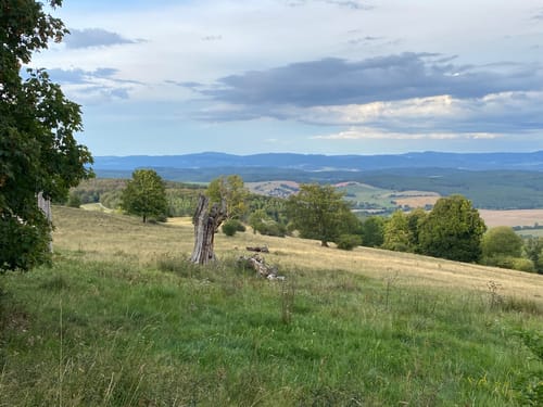 Premiumwanderweg: Vorderrhönweg
