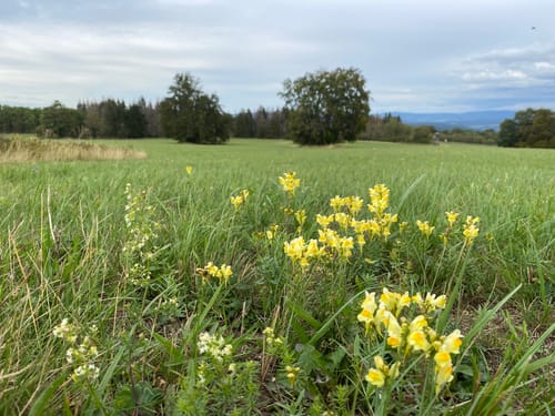 Premiumwanderweg: Vorderrhönweg